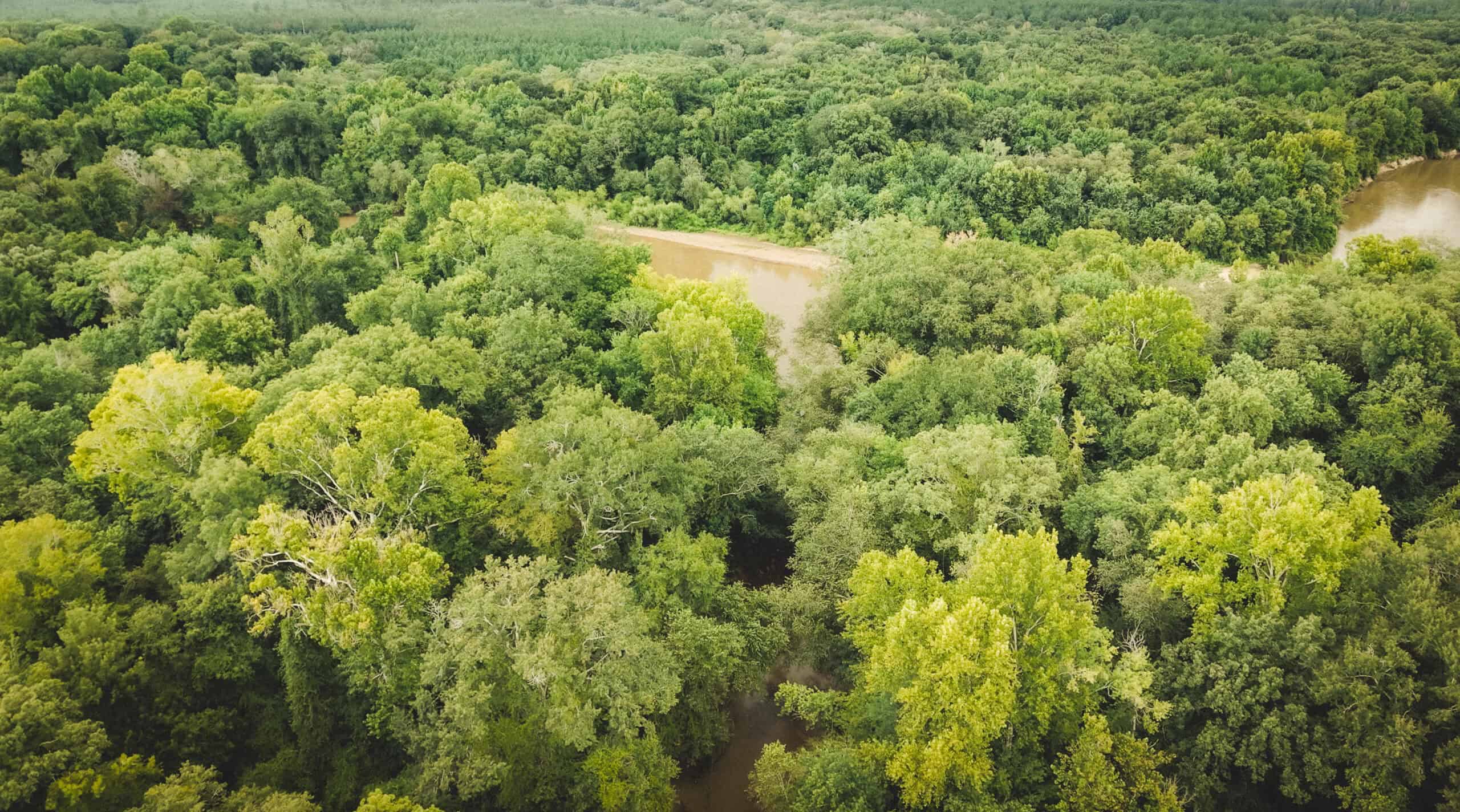 River Trails 127 | 127 Acres | Montezuma, GA